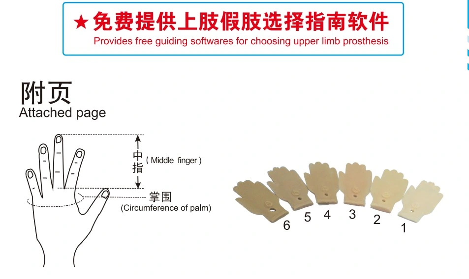 Prosthetic Components Myoelectric Artificial Limbs Hand